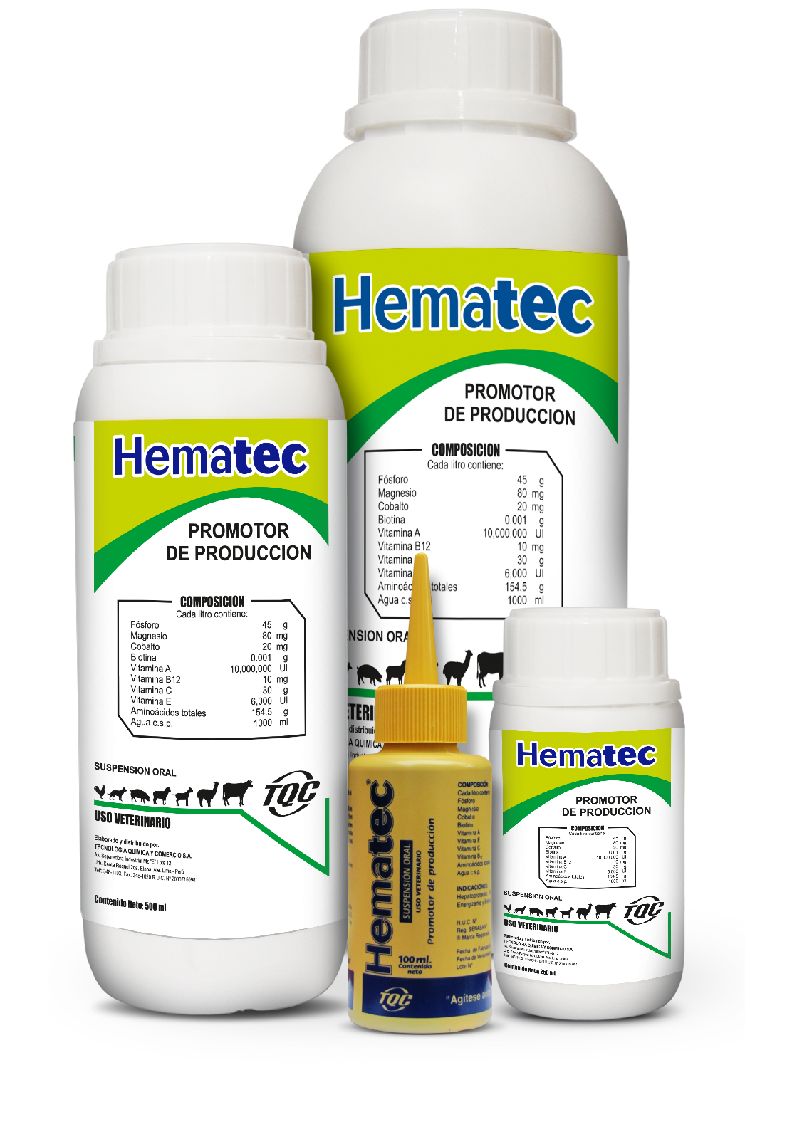 Dog Cat Veterinarian Veterinary Medicine